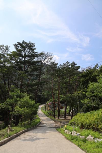Forest 로 가는 길!