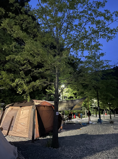 밸리존 베리굿