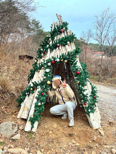 크리스마스 트리 생겼어요(´▽`ʃ♡ƪ)